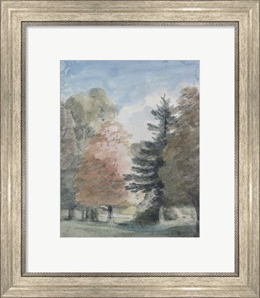 Framed Study of Trees in a Park Print