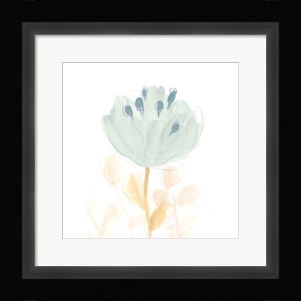 Framed Petite Petals V Print