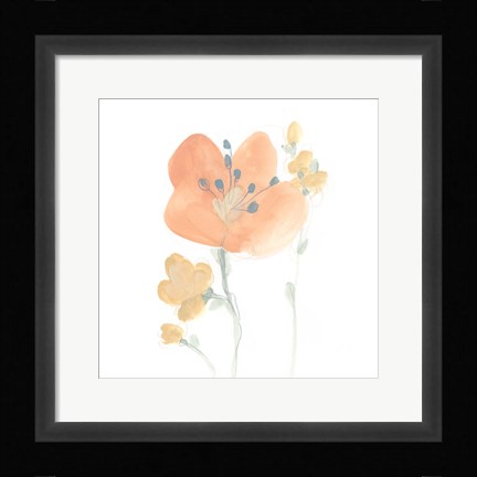 Framed Petite Petals VI Print