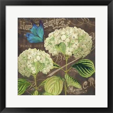 Framed White Hydrangea Print