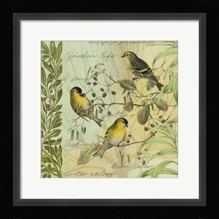 Framed Tree Birds I Siskins Print