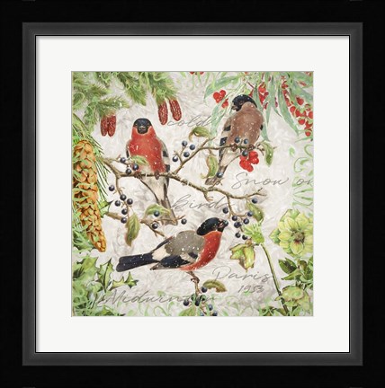 Framed Winter Birds Bullfinches Print