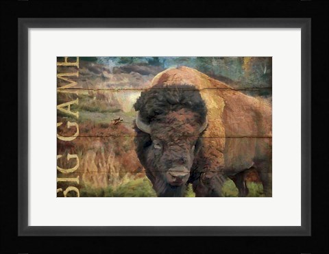 Framed Big Game Bison Print