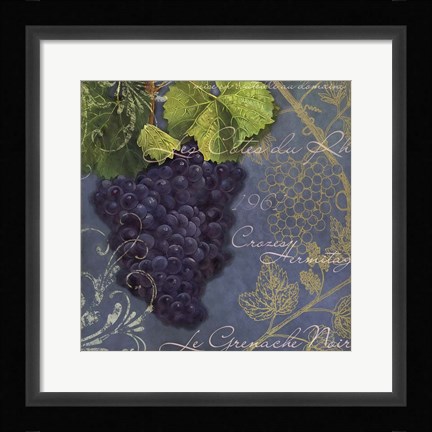 Framed Vignes Rouges Grenache Noir Print