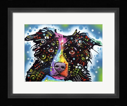Framed Border Collie 3 Print