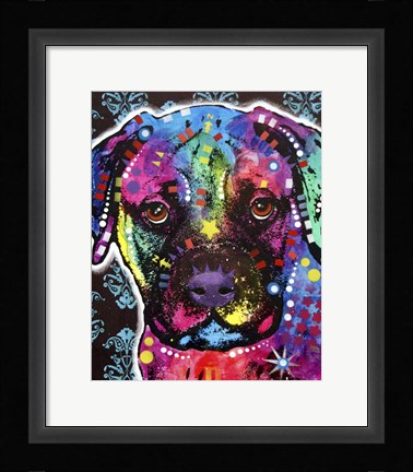 Framed Young Bull Mastiff Print