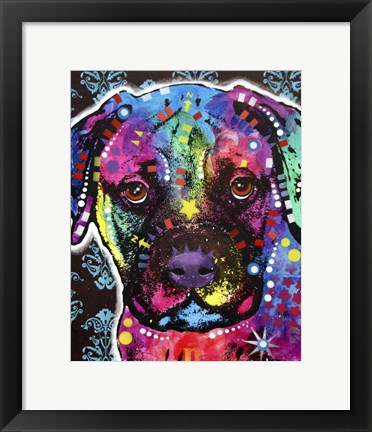 Framed Young Bull Mastiff Print