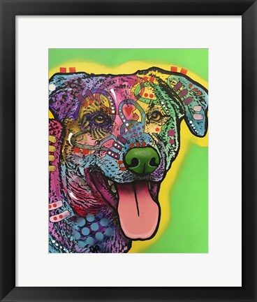 Framed HawkEye Print