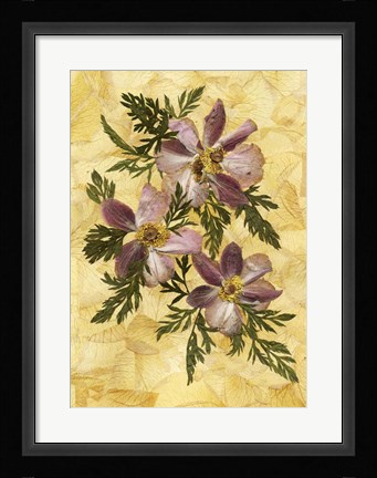 Framed Anemones Print