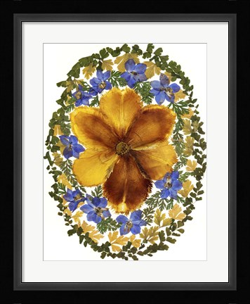 Framed Dried Flowers 2 Print