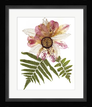 Framed Flower Fantasy 22 Print