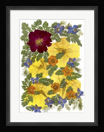 Framed Flower Fantasy 45 Print