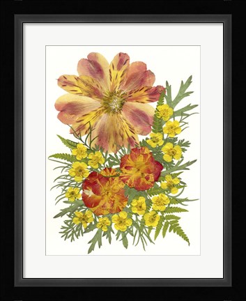 Framed Dried Flowers 5 Print