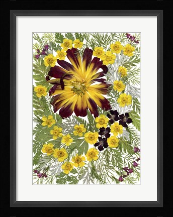 Framed Dried Flowers 7 Print