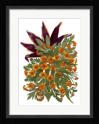 Framed Dried Flowers 9 Print