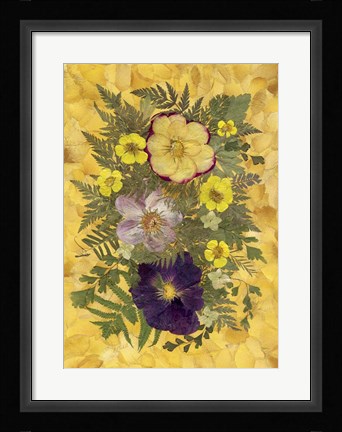 Framed Dried Flowers 15 Print