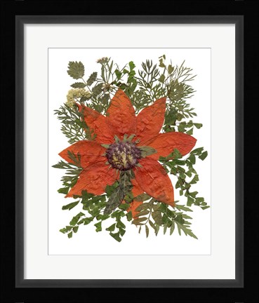 Framed Dried Flowers 17 Print