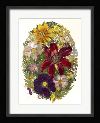 Framed Dried Flowers 20 Print
