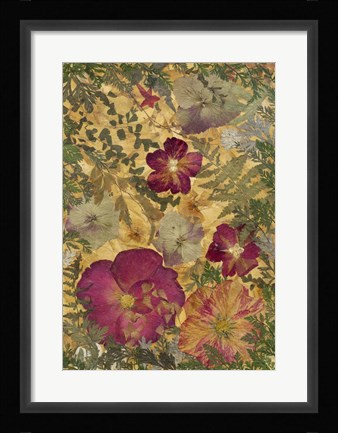 Framed Dried Flowers 22 Print