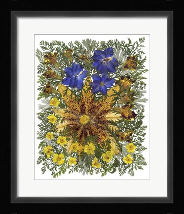 Framed Dried Flowers 26 Print
