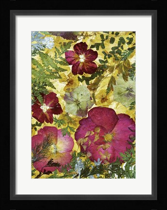 Framed Dried Flowers 28 Print