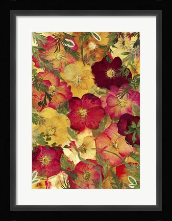 Framed Dried Flowers 30 Print