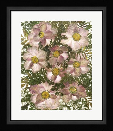 Framed Dried Flowers 32 Print