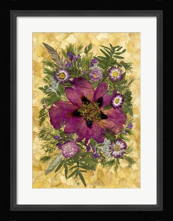 Framed Dried Flowers 33 Print