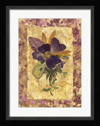 Framed Dried Flowers 34 Print