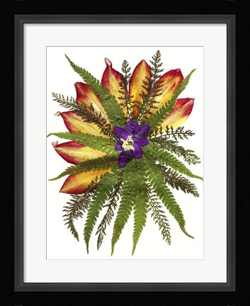 Framed Dried Flowers 39 Print