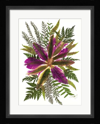 Framed Dried Flowers 40 Print