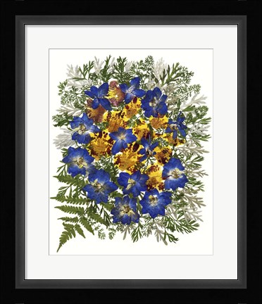 Framed Dried Flowers 43 Print