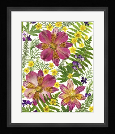 Framed Dried Flowers 45 Print