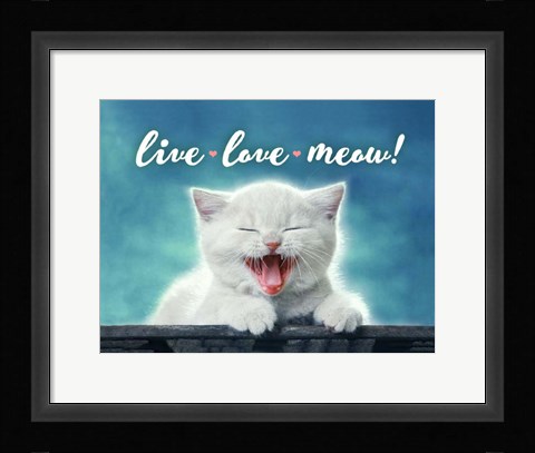 Framed Live Love Meow Print