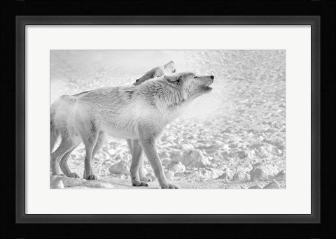 Framed On Frozen Grounds Print