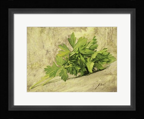 Framed Prezzemolo Print