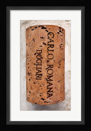 Framed Carlo Romana Print