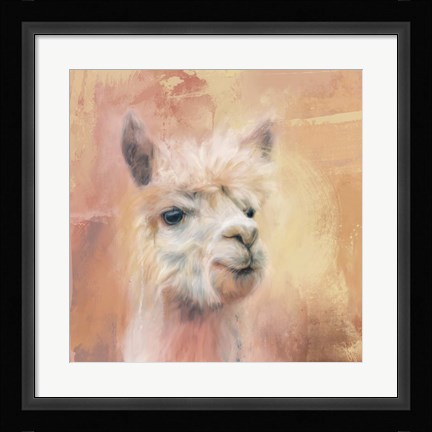 Framed Charismatic Alpaca Print