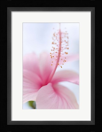 Framed Invitation Into the Light Print