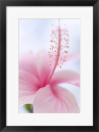 Framed Invitation Into the Light Print