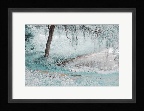 Framed Pond Under the Shadow Willow Print