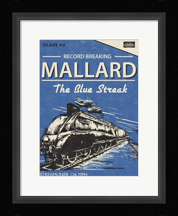 Framed Mallard Print