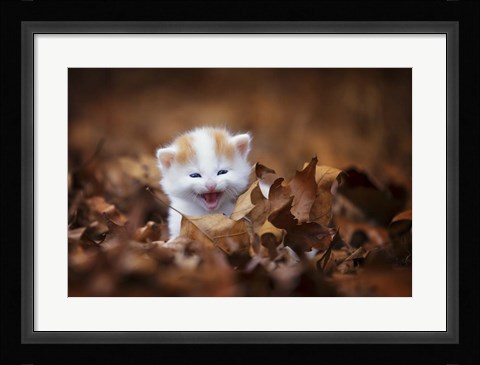 Framed Crying In The Leaves Print