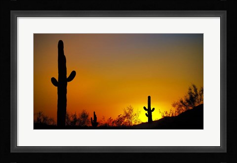 Framed Desert Sunset Print