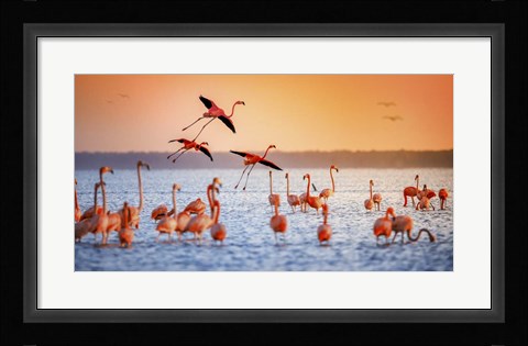 Framed Flamingo Flight Print