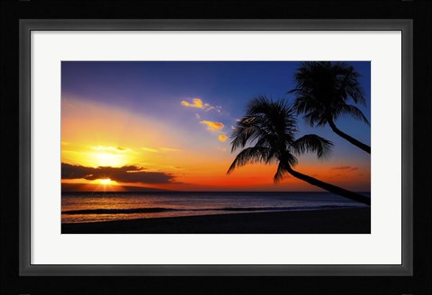 Framed Palm Trees Sunset Print