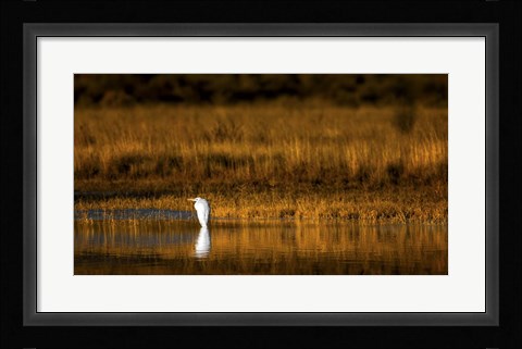 Framed Rest Stop Print