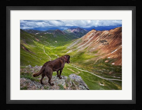 Framed Dog On An Adventure Print