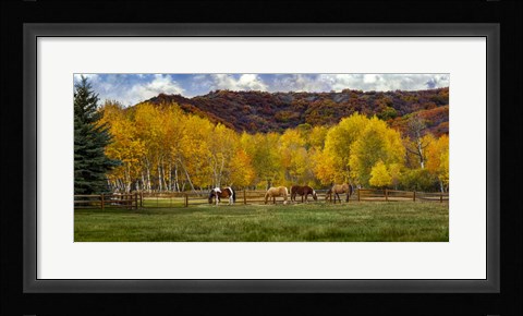 Framed Colorado Farm Print