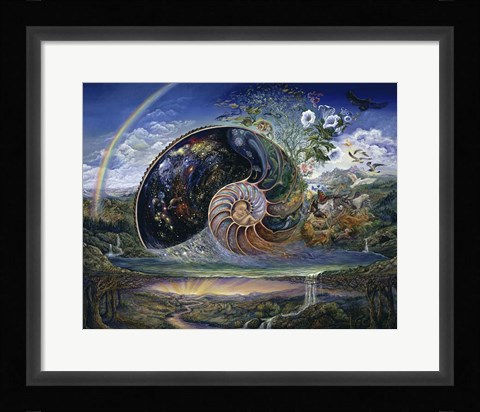 Framed Nautilus Print